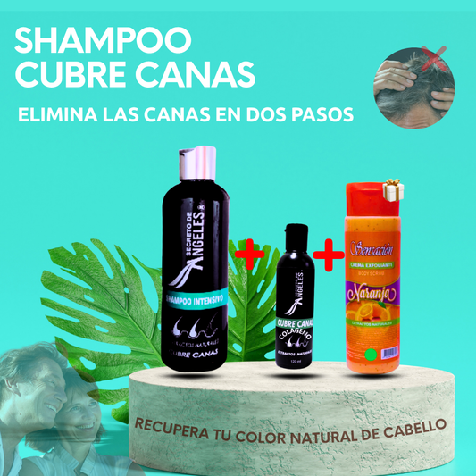 SH CURECANAS SECRETOS-50% selec